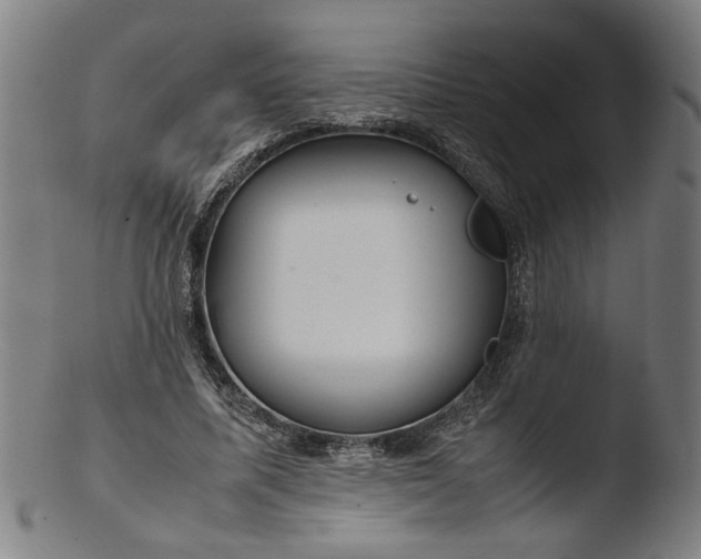 X0000103410587200809261645