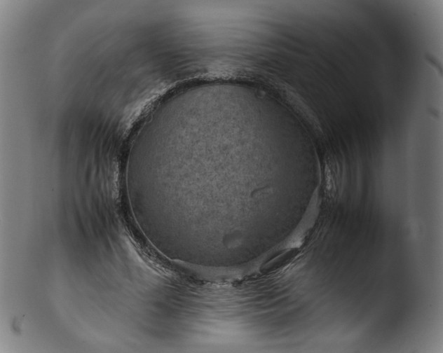 X0000103410588200809261645