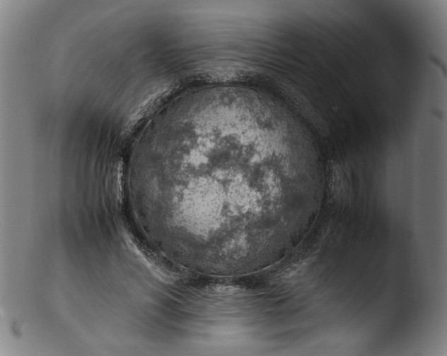 X0000103410590200809261645