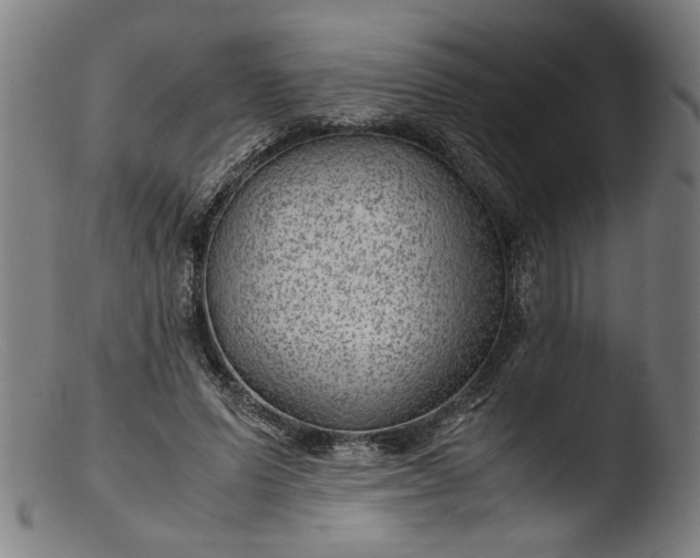 X0000103410591200809261645