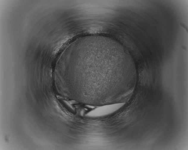 X0000103410592200809261645