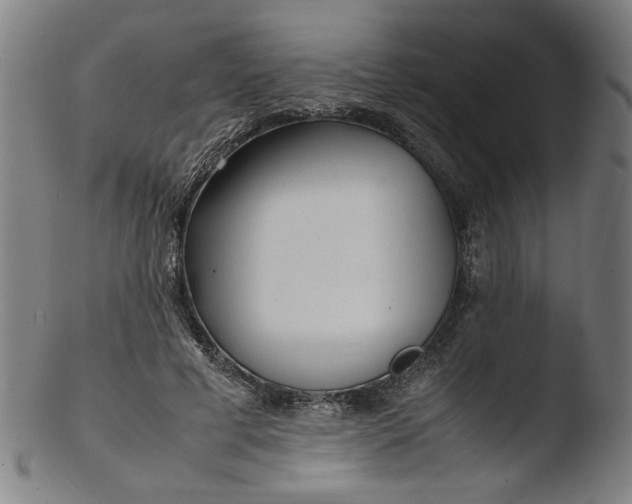 X0000103410593200809261645