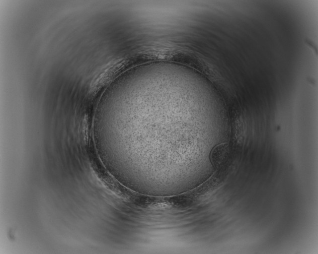 X0000103410594200809261645