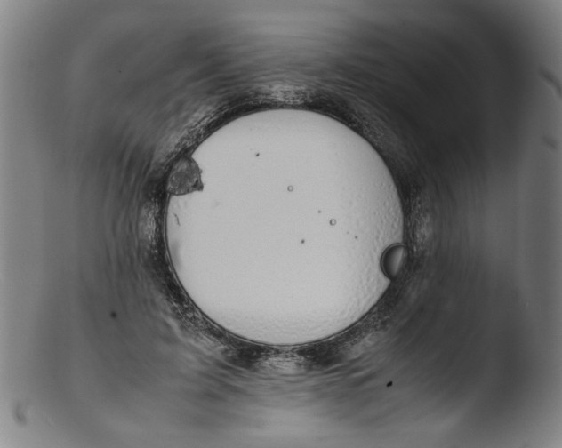 X0000103410595200809261645