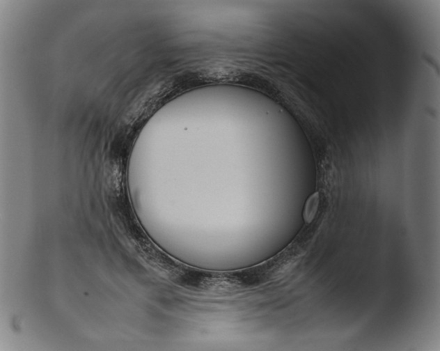 X0000103410597200809261645