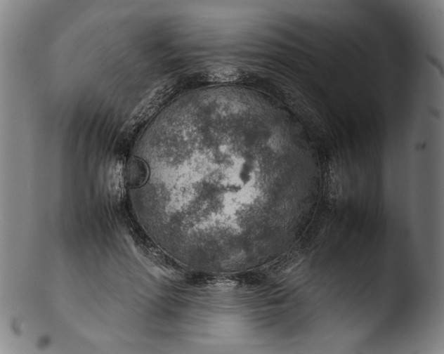 X0000103410598200809261645