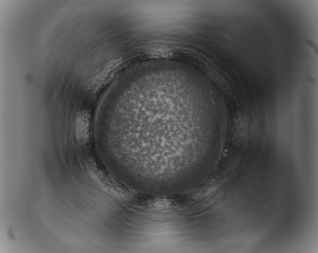 X0000103410600200809261645