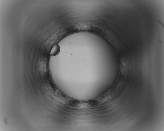 X0000103410604200809261645