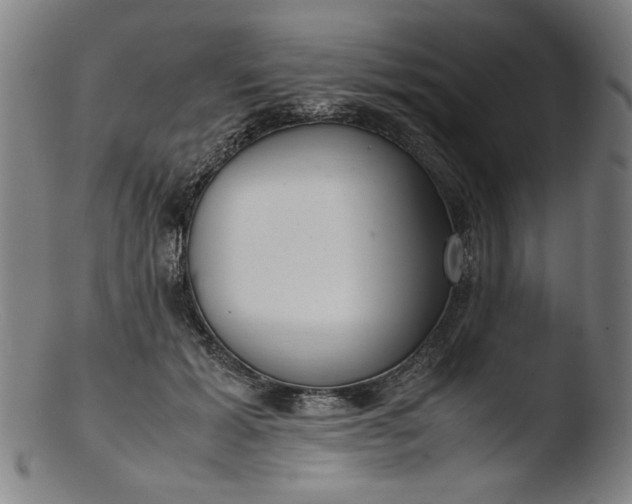 X0000103410605200809261645