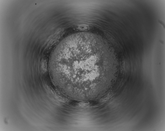 X0000103410606200809261645