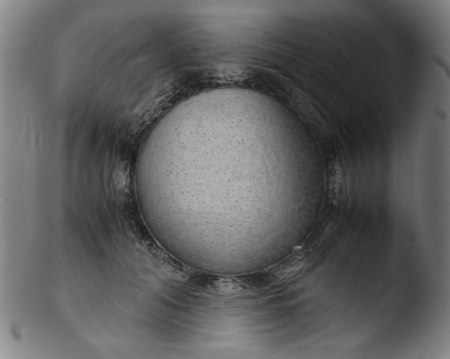 X0000103410608200809261645