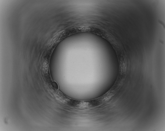 X0000103410609200809261645