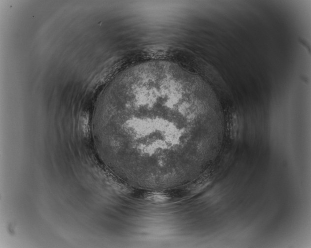 X0000103410610200809261645