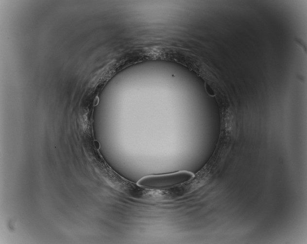 X0000103410611200809261645