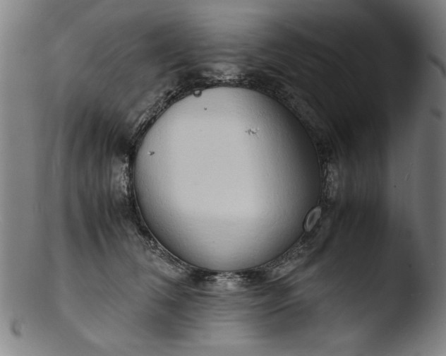 X0000103410612200809261645