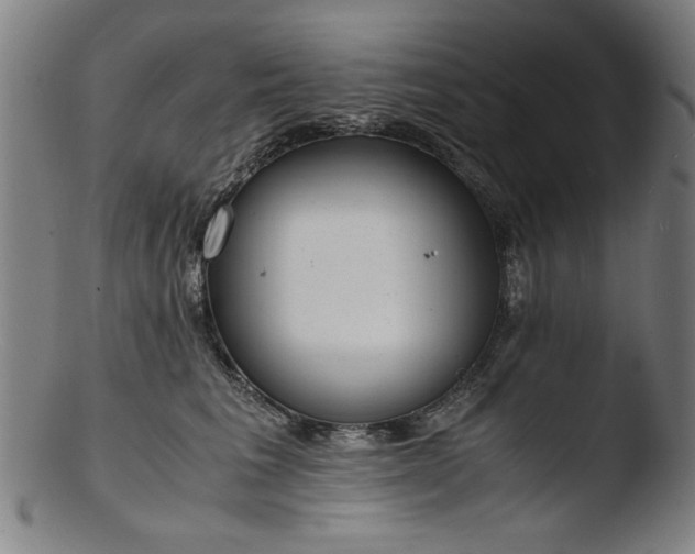 X0000103410613200809261645