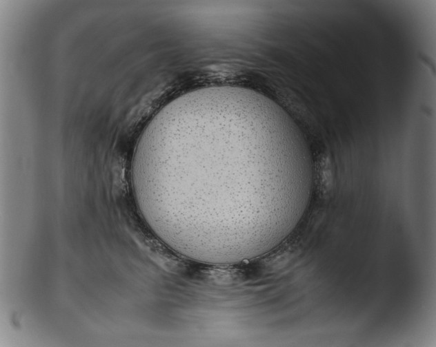 X0000103410615200809261645