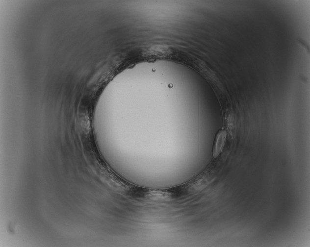 X0000103410617200809261645