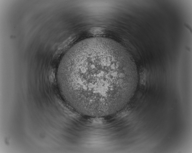 X0000103410618200809261645