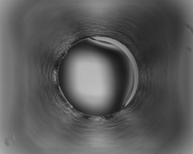 X0000103410621200809261645