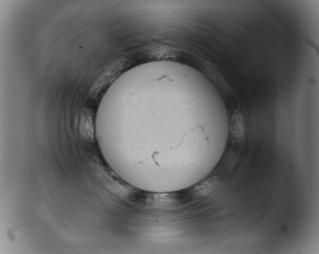 X0000103410622200809261644