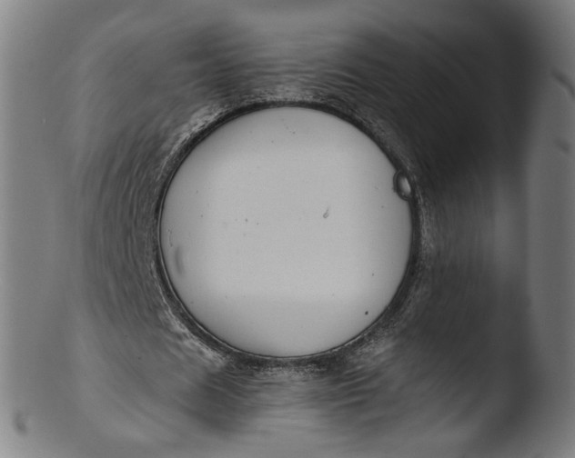 X0000103410625200809261644