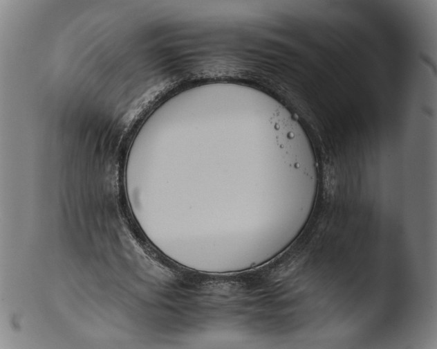 X0000103410629200809261644