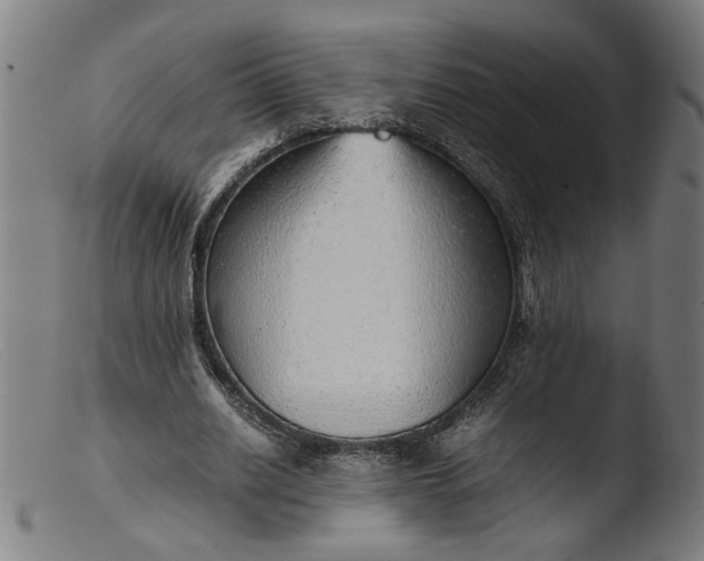 X0000103410630200809261644