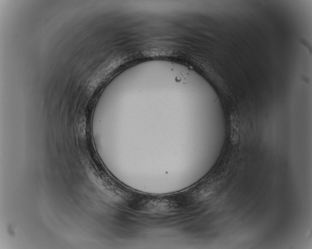 X0000103410631200809261644