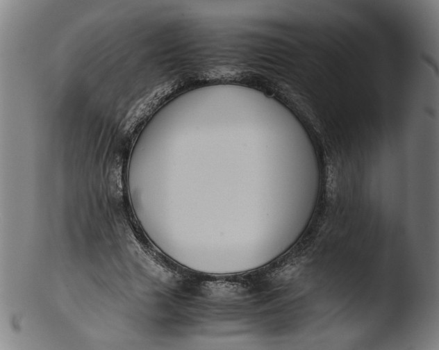 X0000103410633200809261644