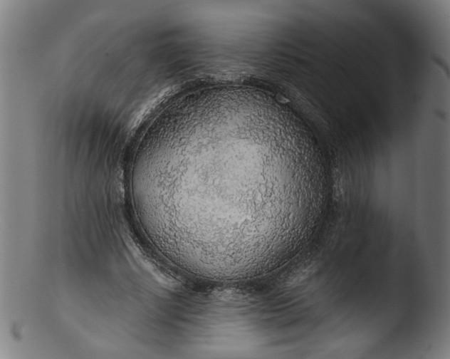 X0000103410634200809261644