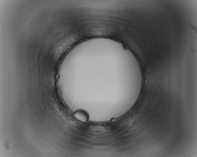 X0000103410635200809261644