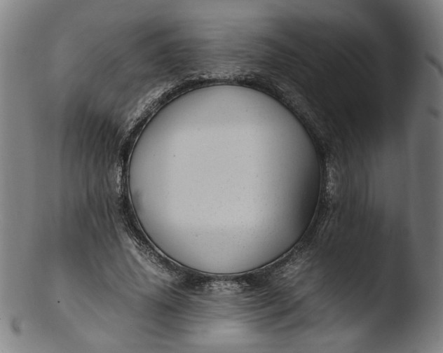 X0000103410636200809261644