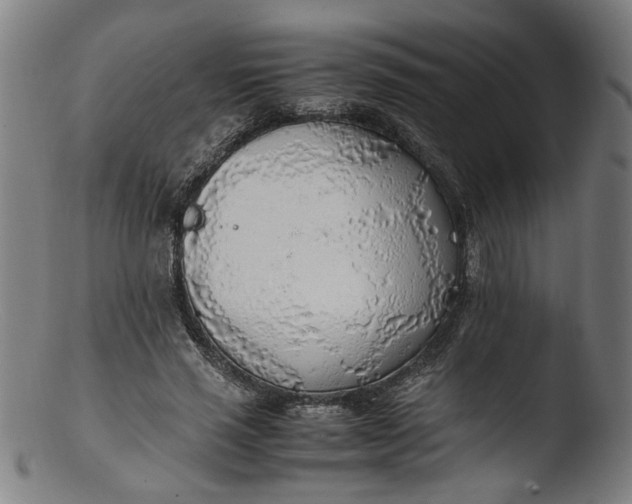 X0000103410637200809261644