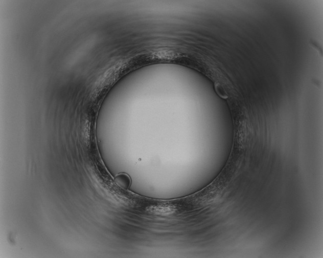 X0000103410639200809261644