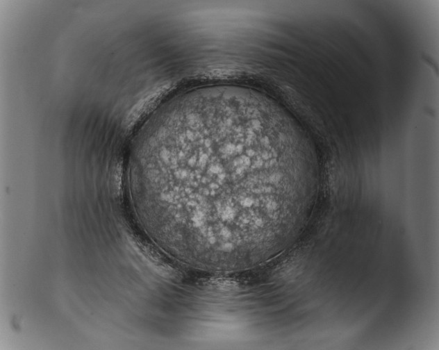 X0000103410640200809261644