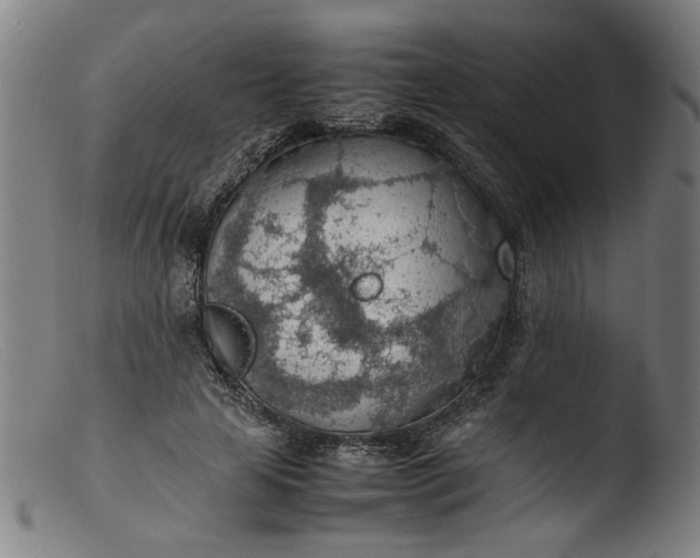 X0000103410641200809261644