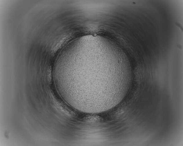 X0000103410642200809261644