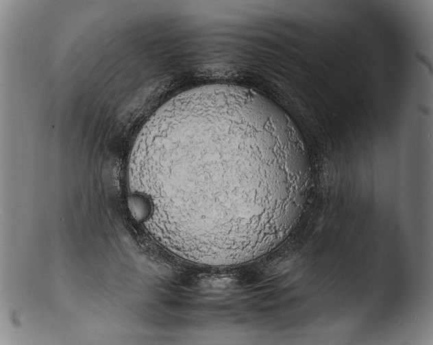 X0000103410643200809261644