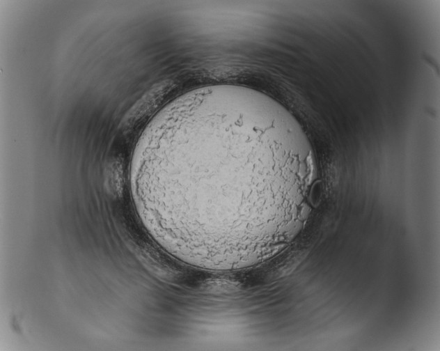 X0000103410644200809261644