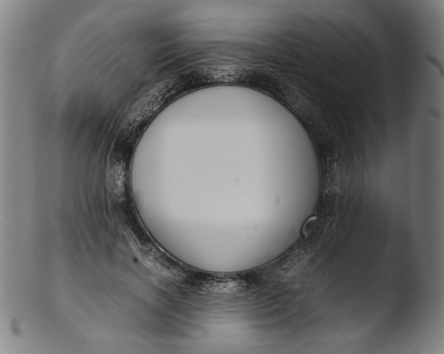 X0000103410646200809261644