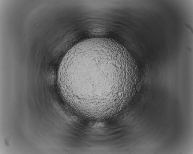 X0000103410647200809261644