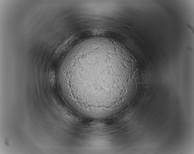 X0000103410648200809261644