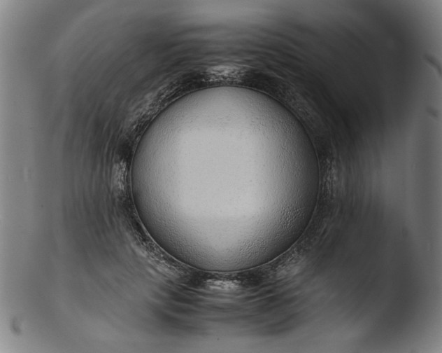 X0000103410649200809261644