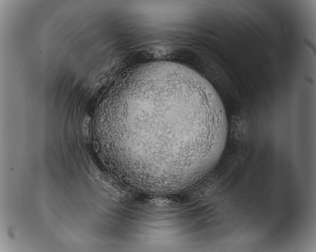 X0000103410650200809261644