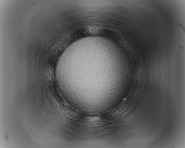 X0000103410651200809261644