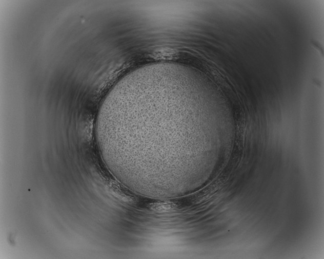 X0000103410652200809261644