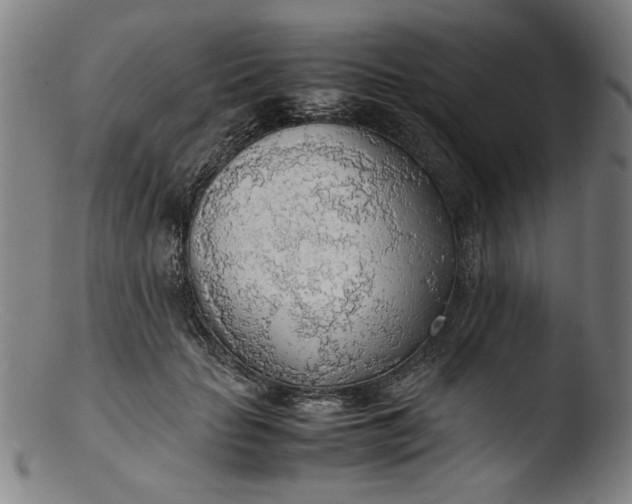 X0000103410653200809261644