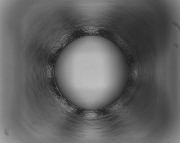 X0000103410658200809261644