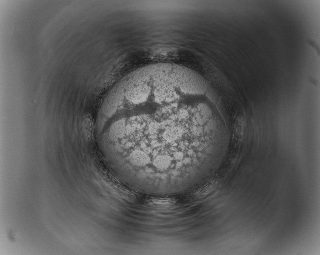 X0000103410659200809261644